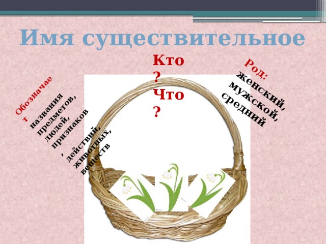 Презентация "Имя существительное" 5 класс