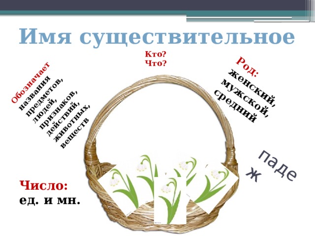 Презентация "Имя существительное" 5 класс