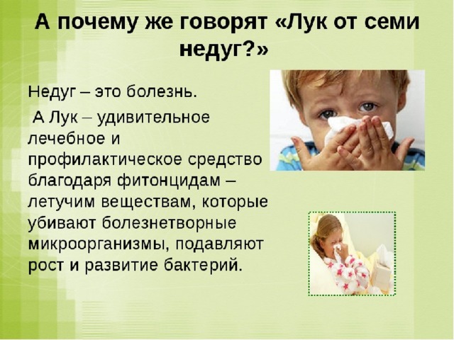 Лук от семи недуг картинка для детей