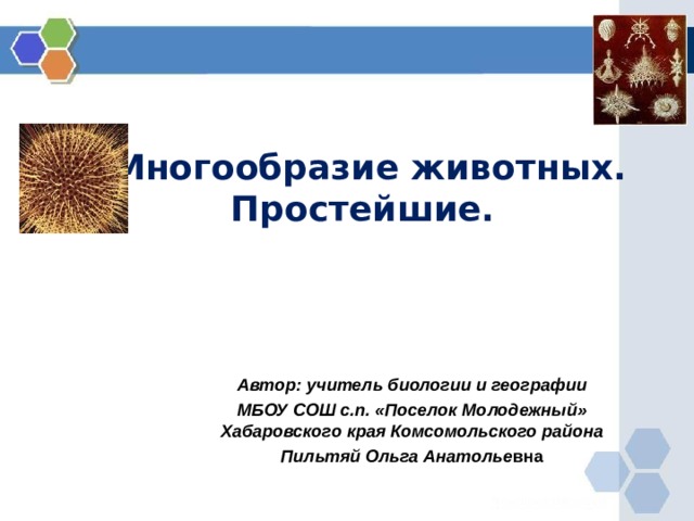 Многообразие животных. Простейшие.   Автор: учитель биологии и географии МБОУ СОШ с.п. «Поселок Молодежный» Хабаровского края Комсомольского района Пильтяй Ольга Анатолье вна 