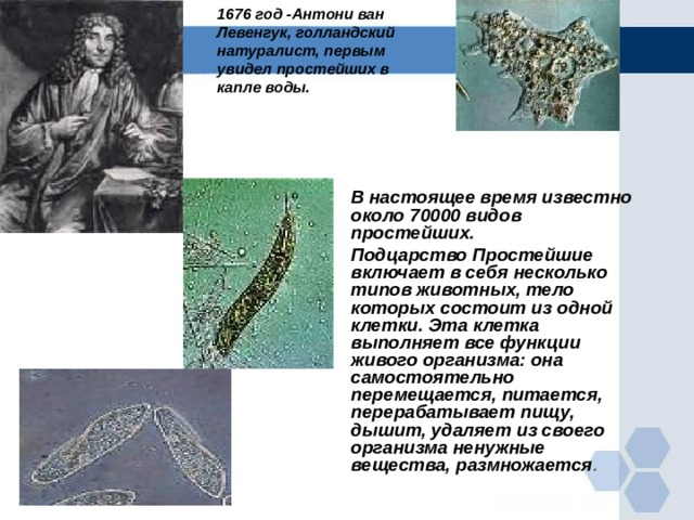    1676 год -Антони ван Левенгук, голландский натуралист, первым увидел простейших в капле воды.  В настоящее время известно около 70000 видов простейших.  Подцарство Простейшие включает в себя несколько типов животных, тело которых состоит из одной клетки. Эта клетка выполняет все функции живого организма: она самостоятельно перемещается, питается, перерабатывает пищу, дышит, удаляет из своего организма ненужные вещества, размножается . 