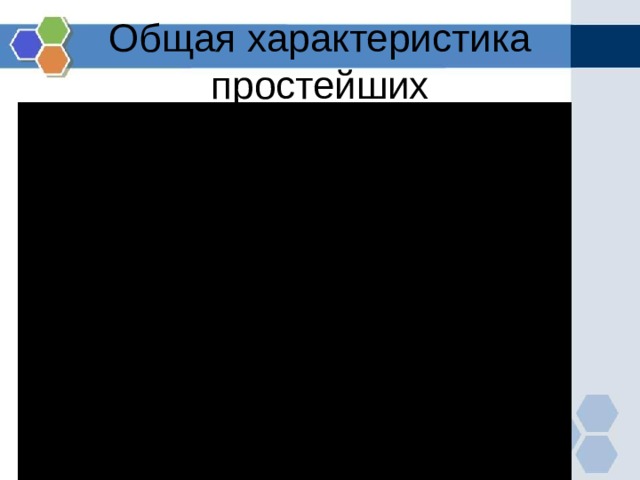 Общая характеристика простейших 