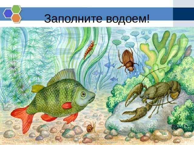 Заполните водоем! 