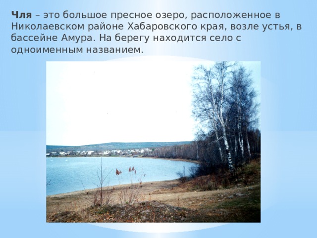 Чля – это большое пресное озеро, расположенное в Николаевском районе Хабаровского края, возле устья, в бассейне Амура. На берегу находится село с одноименным названием. 