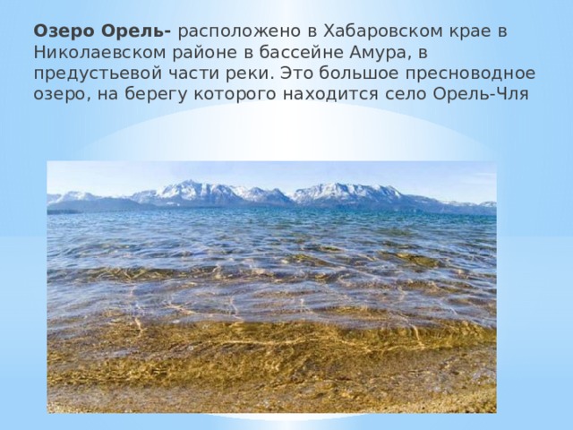 Озеро Орель- расположено в Хабаровском крае в Николаевском районе в бассейне Амура, в предустьевой части реки. Это большое пресноводное озеро, на берегу которого находится село Орель-Чля 
