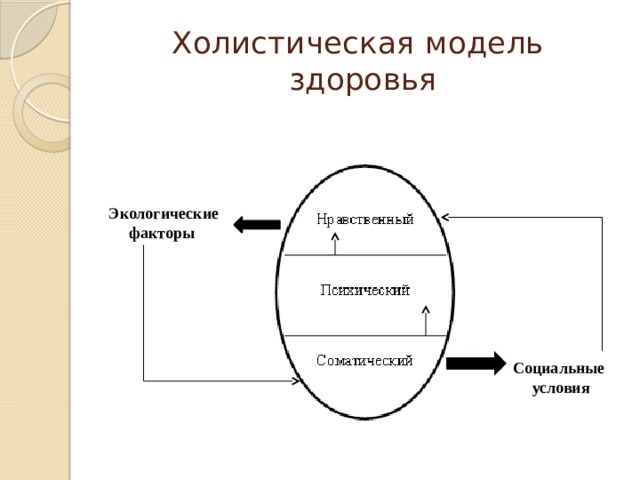 Холистическая модель  здоровья Экологические факторы Социальные условия 