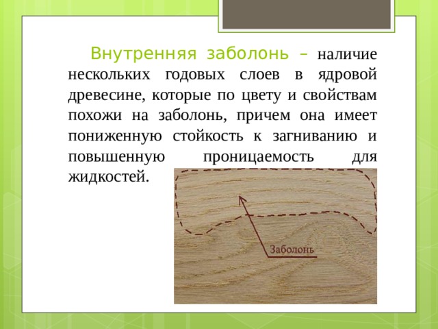  Внутренняя заболонь – наличие нескольких годовых слоев в ядровой древесине, которые по цвету и свойствам похожи на заболонь, причем она имеет пониженную стойкость к загниванию и повышенную проницаемость для жидкостей. 