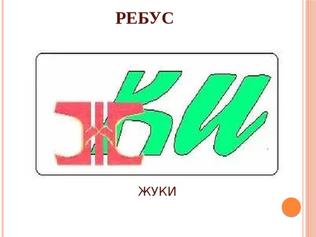 РЕБУС ЖУКИ 