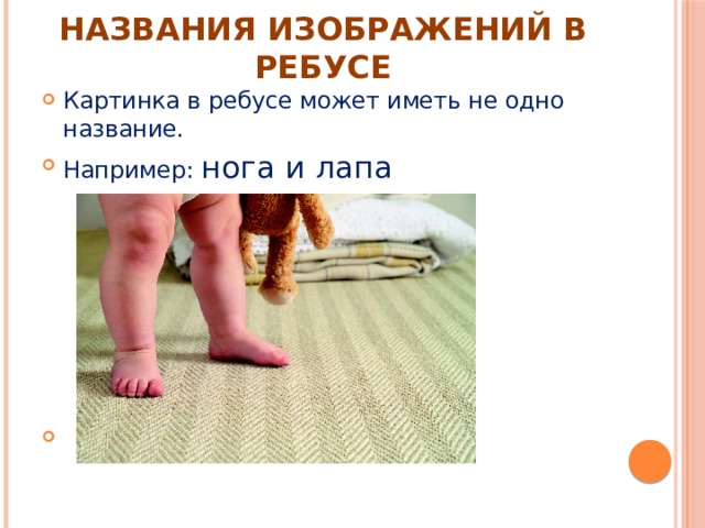 НАЗВАНИЯ ИЗОБРАЖЕНИЙ В РЕБУСЕ Картинка в ребусе может иметь не одно название. Например: нога и лапа 