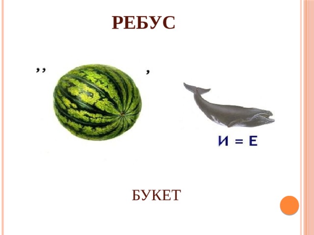 Ребусы про цветы в картинках с ответами