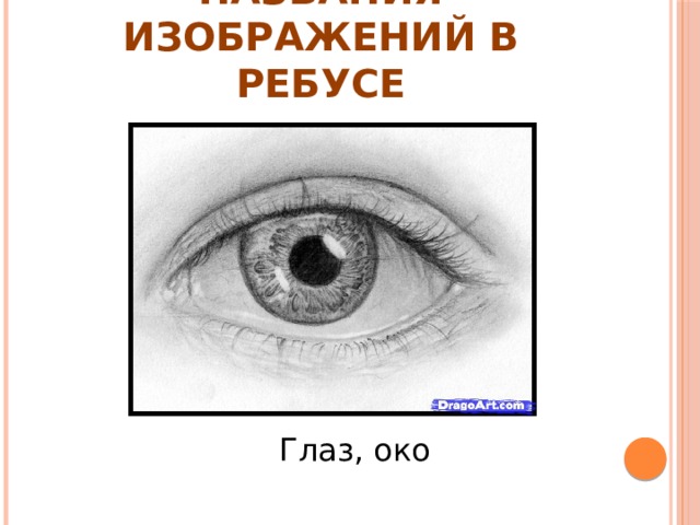 НАЗВАНИЯ ИЗОБРАЖЕНИЙ В РЕБУСЕ Глаз, око 