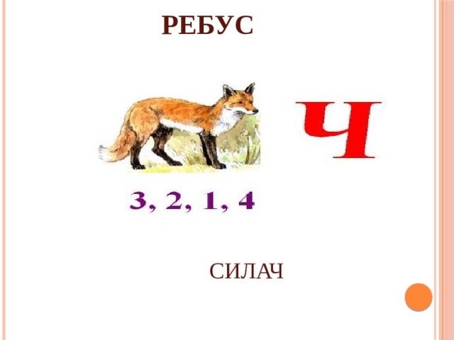РЕБУС СИЛАЧ 