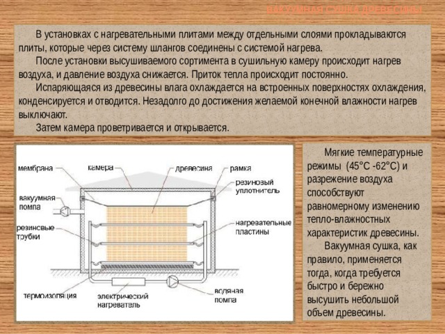 Чем вызвано коробление древесины при сушке технология 7 класс. Смотреть фото Чем вызвано коробление древесины при сушке технология 7 класс. Смотреть картинку Чем вызвано коробление древесины при сушке технология 7 класс. Картинка про Чем вызвано коробление древесины при сушке технология 7 класс. Фото Чем вызвано коробление древесины при сушке технология 7 класс