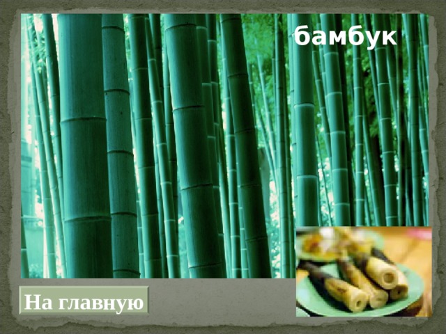 бамбук На главную 