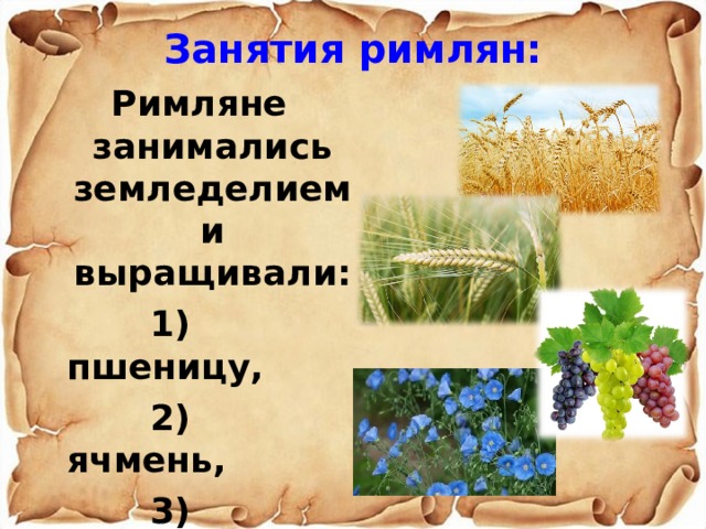 Занятия римлян: Римляне занимались земледелием и выращивали :  1) пшеницу,  2) ячмень,  3) виноград,  4) л ён . 