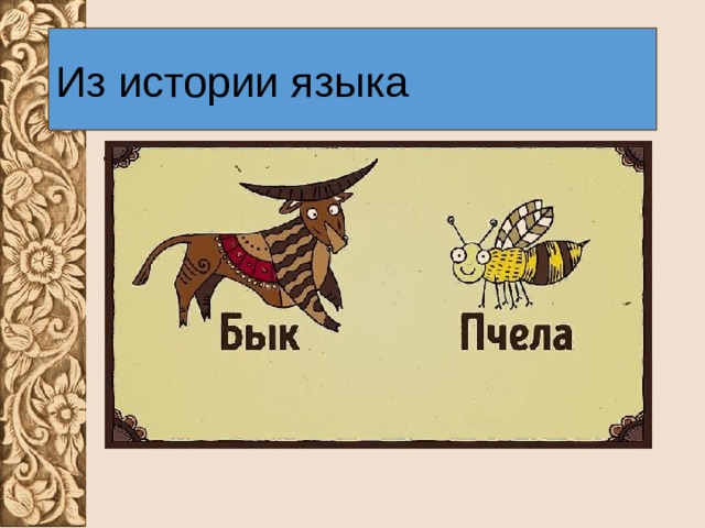 Из истории языка По мнению многих учёных, слово БЫК, появившееся в эпоху общеславянского родства, является производным от звукоподражания БЫ-БУ-БЕ. От этого же звукоподражания произошли также слова БУКАШКА и ПЧЕЛА. Первоначально БЪЧЕЛА – насекомое, которое жужжит, гудит при полёте. В русских диалектах до сих пор сохранилось слово БУЧАТЬ – жужжать, гудеть. Таким образом, слова БЫК и ПЧЕЛА являются не только очень древними, но и родственными. 