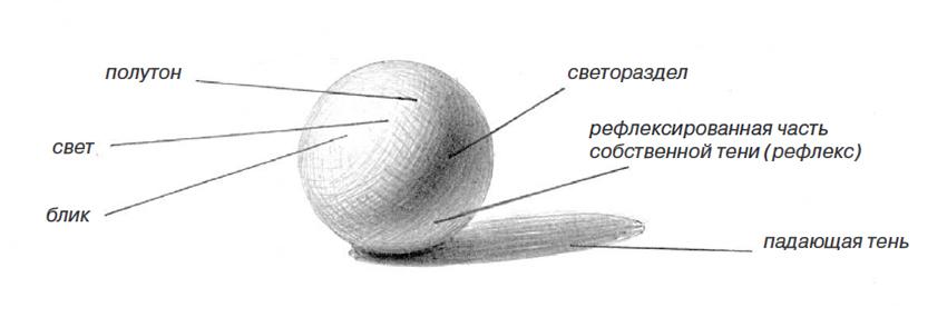 Светотеневой рисунок это