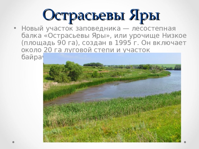 Острасьевы Яры Новый участок заповедника — лесостепная балка «Острасьевы Яры», или урочище Низкое (площадь 90 га), создан в 1995 г. Он включает около 20 га луговой степи и участок байрачного леса. 