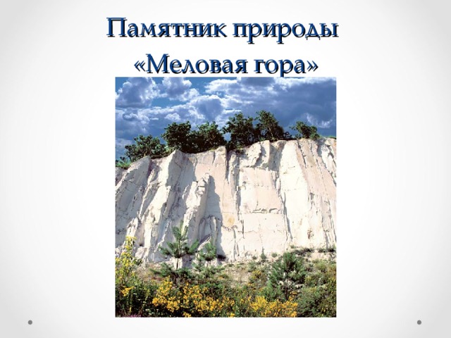 Памятник природы  «Меловая гора» 