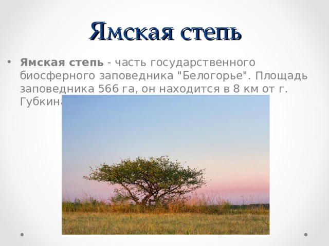 Ямская степь Ямская степь - часть государственного биосферного заповедника 