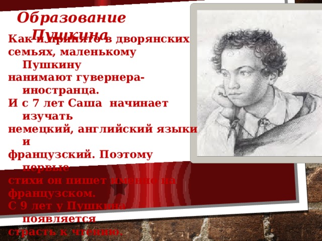 Пушкин образование. Образование Пушкина. Образование Александра Пушкина. Высшее образование Пушкина.