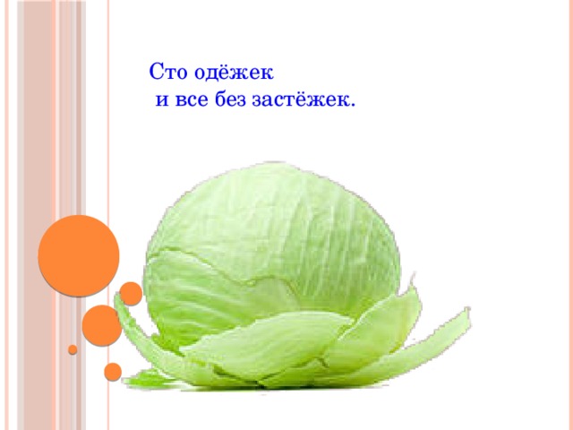 Одежек и все без застежек загадка. 100 Одежек и все без застежек. СТО ОДЕЖИК И все беззастежик. 100 Одежды и все без застежки. СТО одежек без застежек.