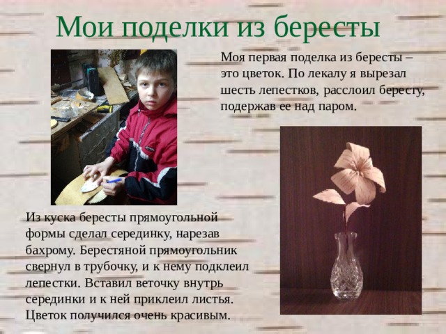 Береста что это 2 класс. img12. Береста что это 2 класс фото. Береста что это 2 класс-img12. картинка Береста что это 2 класс. картинка img12.