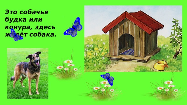 Это собачья будка или конура, здесь живёт собака. 