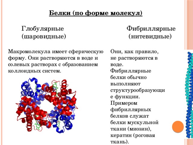 Глобулярные белки