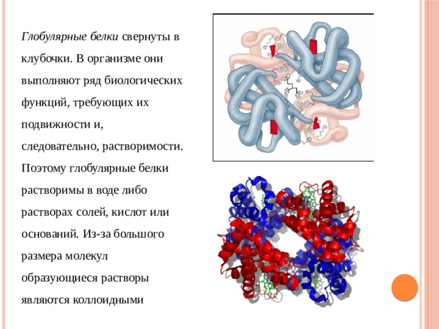 Глобулярные белки фото