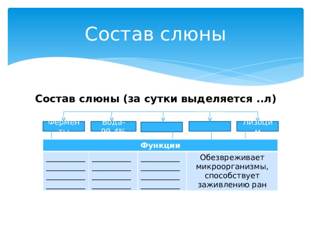 Состав слюны лизоцим. За сутки выделяется слюны. Сколько слюны выделяется. Состав слюны. Состав слюны диаграмма.