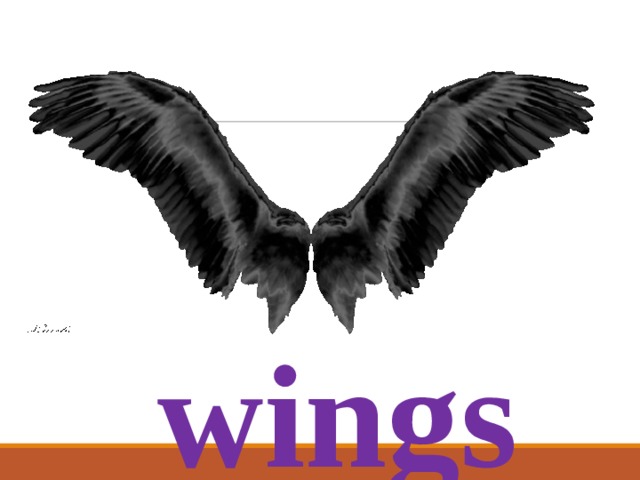 wings 