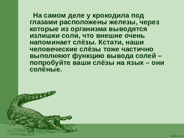 Выражение крокодиловы слезы означает лживую основная мысль