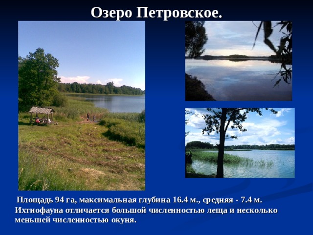 Озеро Петровское.  Площадь 94 га, максимальная глубина 16.4 м., средняя - 7.4 м. Ихтиофауна отличается большой численностью леща и несколько меньшей численностью окуня.  