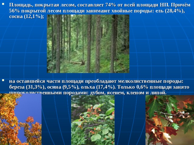 Площадь, покрытая лесом, составляет 74% от всей площади НП. Причём 56% покрытой лесом площади занимают хвойные породы: ель (28,4%), сосна (12,1%);         на оставшейся части площади преобладают мелколиственные породы: береза (31,3%), осина (9,5%), ольха (17,4%). Только 0,6% площади занято широколиственными породами: дубом, ясенем, кленом и липой.     