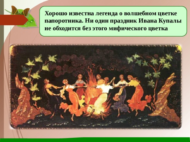 Хорошо известна легенда о волшебном цветке папоротника. Ни один праздник Ивана Купалы не обходится без этого мифического цветка 