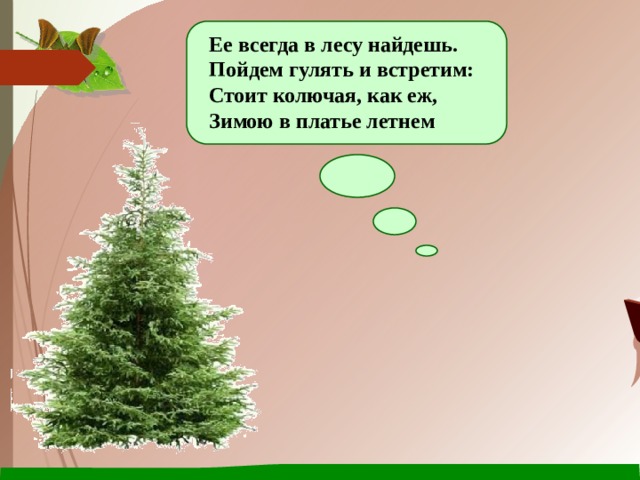 Ее всегда в лесу найдешь.  Пойдем гулять и встретим:  Стоит колючая, как еж,  Зимою в платье летнем 