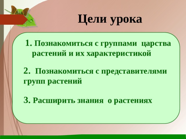 Цели урока  Познакомиться с группами царства растений и их характеристикой 2. Познакомиться с представителями групп растений 3. Расширить знания о растениях  