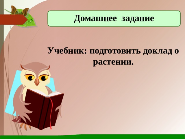 Домашнее задание Учебник: подготовить доклад о растении. 