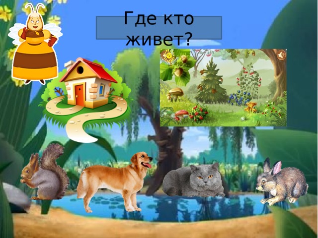 Где кто живет? 