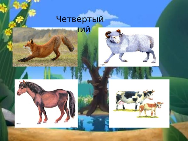 Четвертый лишний 