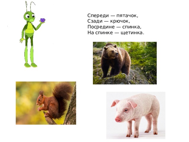 Спереди — пятачок, Сзади — крючок, Посредине — спинка, На спинке — щетинка. 
