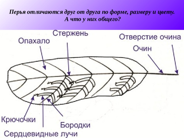 Чем отличаются друг от друга план и карта