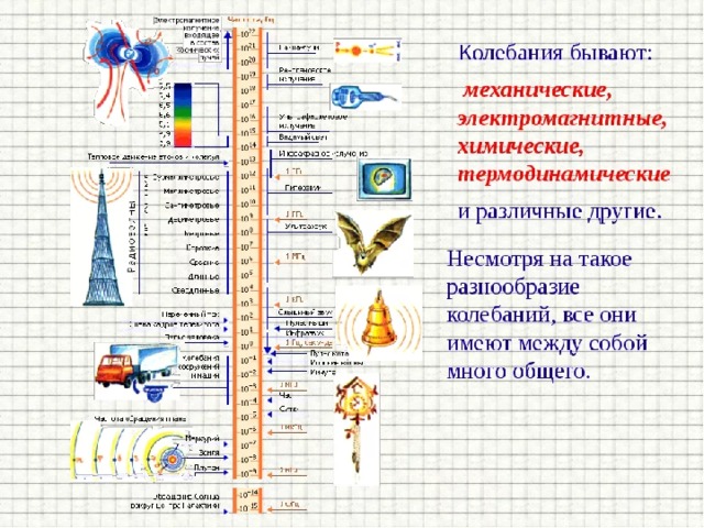 Примеры колебаний в физике