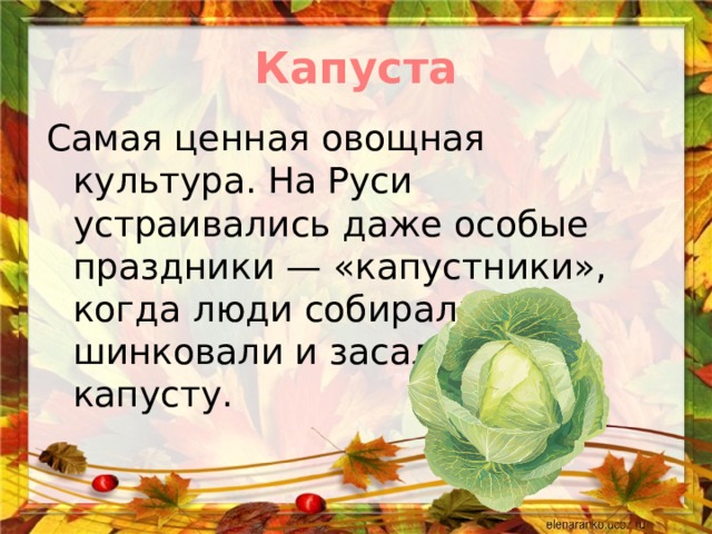 Капустник что это