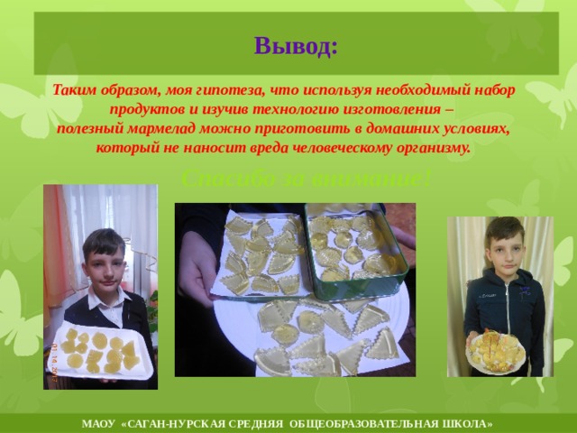 Вывод: Таким образом, моя гипотеза, что используя необходимый набор продуктов и изучив технологию изготовления – полезный мармелад можно приготовить в домашних условиях, который не наносит вреда человеческому организму.           Спасибо за внимание! МАОУ «САГАН-НУРСКАЯ СРЕДНЯЯ ОБЩЕОБРАЗОВАТЕЛЬНАЯ ШКОЛА»  