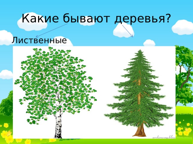 Деревья прилагательные. Дерево прилагательное. Деревья какие прилагательные. Дерево какое бывает прилагательные. Какие бывают деревья прилагательные.