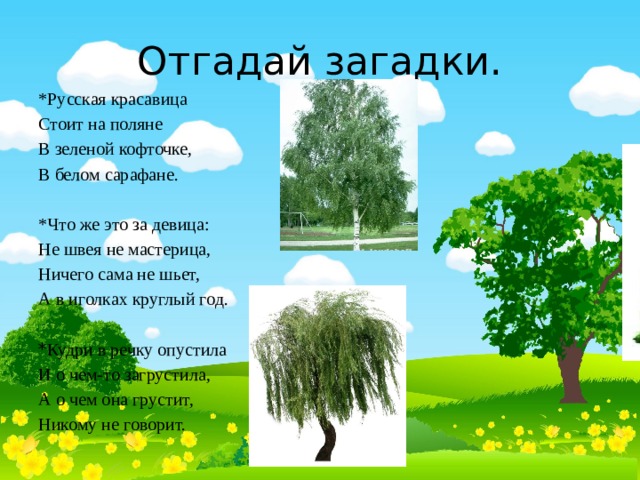 Деревья кусты цветы это одним словом. Загадки про деревья и кустарники. Загадки про кустарники. Загадки про деревья. Загадка про куст.