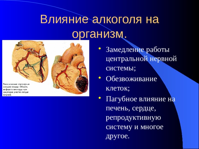 Влияние алкоголя на организм. Замедление работы центральной нервной системы; Обезвоживание клеток; Пагубное влияние на печень, сердце, репродуктивную систему и многое другое. 