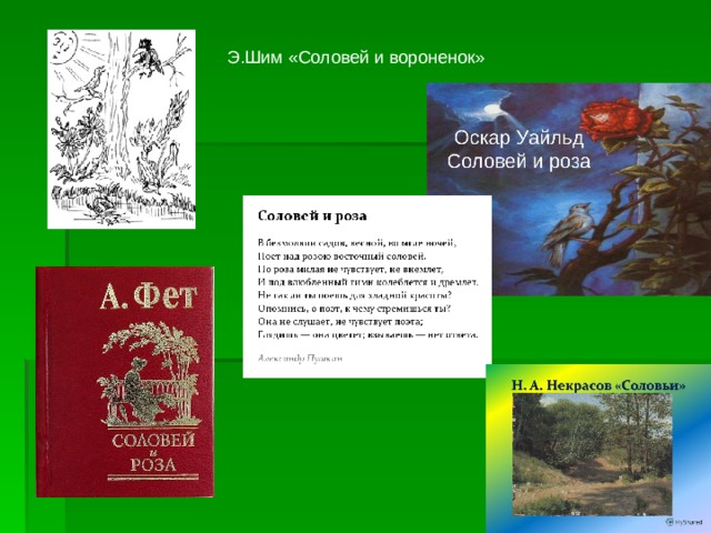 Пересказ сказки соловей и вороненок старшая группа. Сказка сказки э.Шима «Соловей и воронёнок». Э Шима Соловей и вороненок. Иллюстрации к сказке э.Шима Соловей и вороненок. Соловей и вороненок ШИМ сказка.